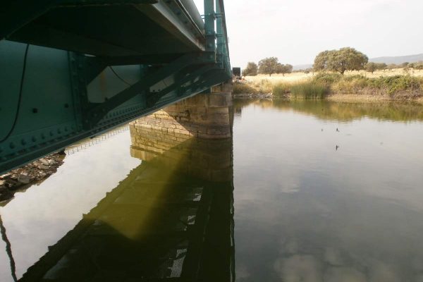 infraestructuras-ferroviarias-ayuela4